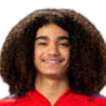 https://img.ytdes.com/img/football/player/87359ed9061cfd73513d827263deebcd.png